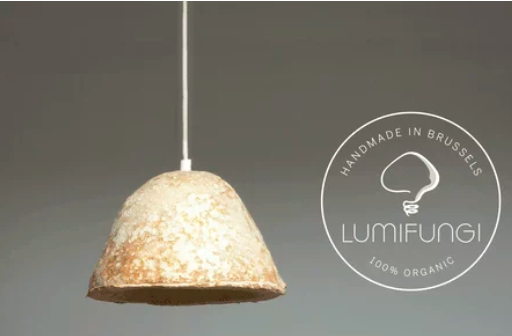 圖片關(guān)鍵詞 http://www.gdxshca.cn/ewebeditor/uploadfile/20180727085601461001.png