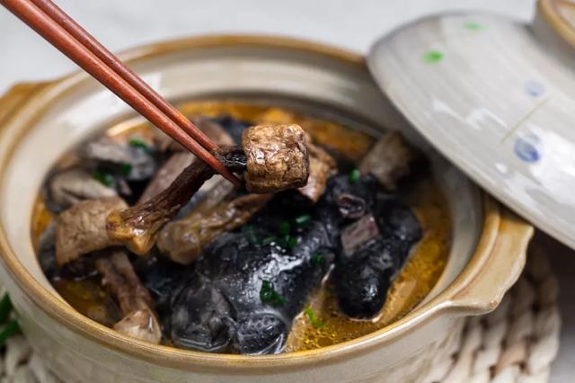 國家蘑菇地理：中國哪里的蘑菇最好吃？