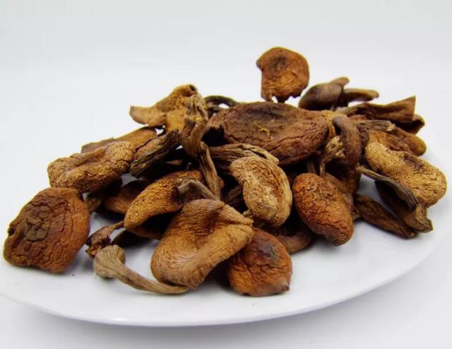 國家蘑菇地理：中國哪里的蘑菇最好吃？