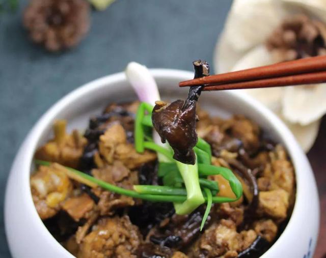 國家蘑菇地理：中國哪里的蘑菇最好吃？