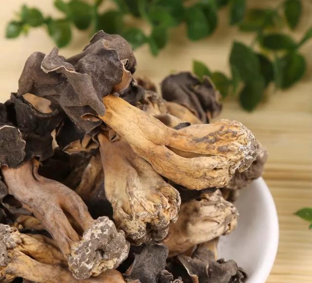 國家蘑菇地理：中國哪里的蘑菇最好吃？